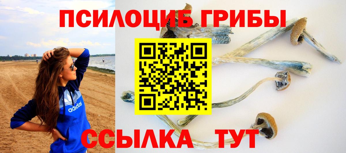 Галлюциногенные грибы ЛСД Кемерово